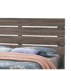 Letto con Contenitore a Piattaforma a 2 Cassetti